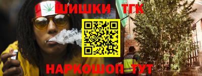крисы Тулун