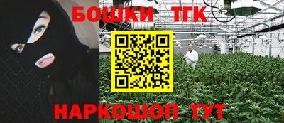 крисы Тулун