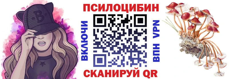 hydra маркетплейс  Ревда  Галлюциногенные грибы Cubensis 