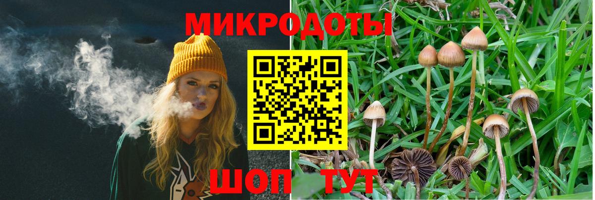 Ревда  Псилоцибиновые грибы GOLDEN TEACHER  Вход с VPN 